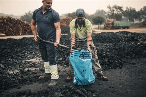 Workers collecting coal in plastic bag at factory stock photo