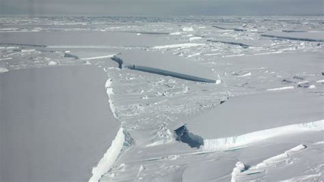 Scientists accidentally find life beneath ice shelves in the Antarctic ...