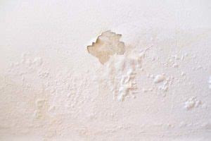 Condensation On Walls: Causes & Solutions - Ascend Construction