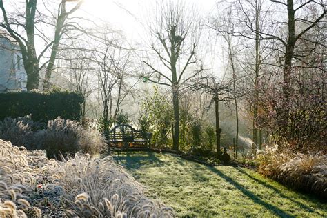 How To Make The Most of Your Garden in Winter | Winter Gardening Guide