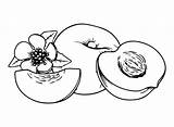 Peaches Coloring Pages Printable For Free Download sketch template