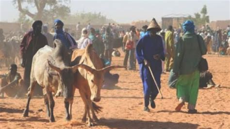 Fears as Fulani herdsmen invade Enugu communities. ~ Biafra Restoration ...