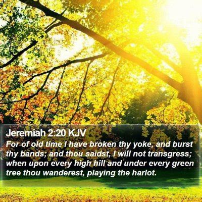 Jeremiah 2 Scripture Images - Jeremiah Chapter 2 KJV Bible Verse Pictures