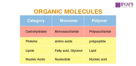 What Are The Differences Between Carbohydrates Lipids And Proteins - Infoupdate.org