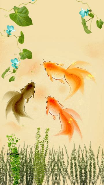 Fish Animated Gif Png | Best Wallpaper - Best Wallpaper HD