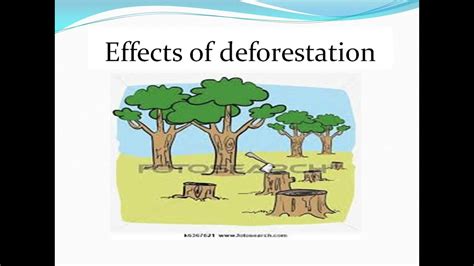 Deforestation Diagram