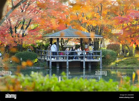 Kyoto Botanical Gardens in Kyoto, Japan Stock Photo - Alamy