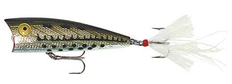 17 Best Hybrid Striped Bass Lures | By Captain Cody