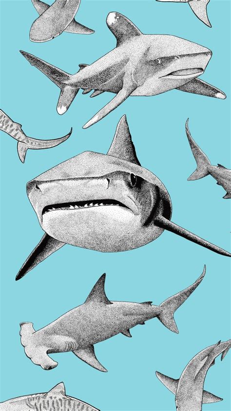 Shark Art Backgound 2 | Shark art, Shark wallpaper iphone, Shark background