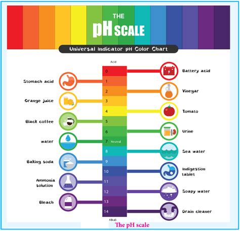 Ph Scale Examples