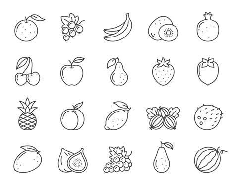 Fruit Drawings Black White