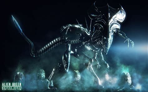 Alien Queen, Cool Xenomorph HD wallpaper | Pxfuel