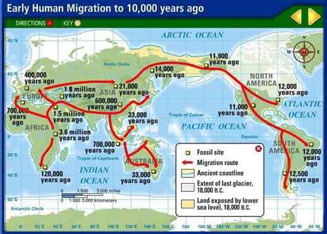 Human Migration - Crystalinks | Human migration, Early humans, Human geography