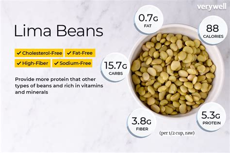 Lima Bean Nutrition Facts and Health Benefits