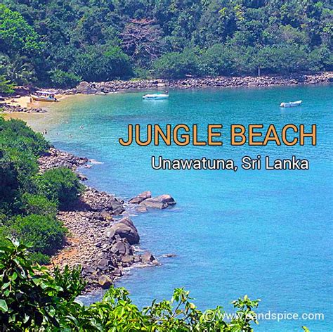 Jungle Beach Unawatuna - A much better alternative to the main strip