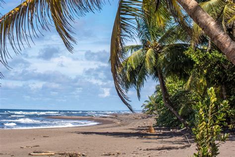 Guide to visiting Tortuguero National Park - Brunette at Sunset