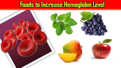 Foods to Increase Hemoglobin: Isko Badhane ke Tarike