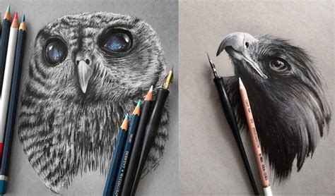 Stunning Animals Realistic Pencil Drawing by Jonathan Martinez ...