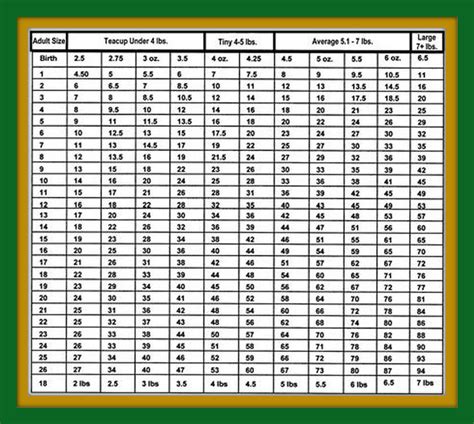 Yorkie Poo Weight Chart