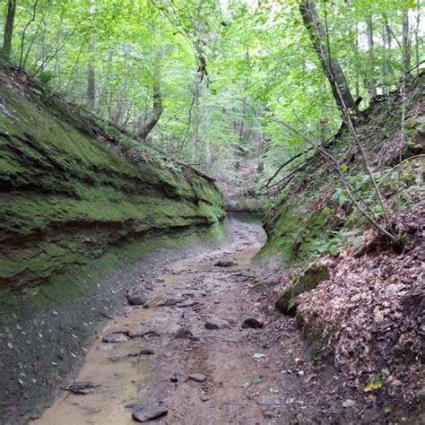 Tecumseh Trails ATV Area — Shawnee, Ohio