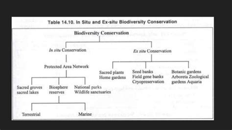 Strategies for biodiversity conservation