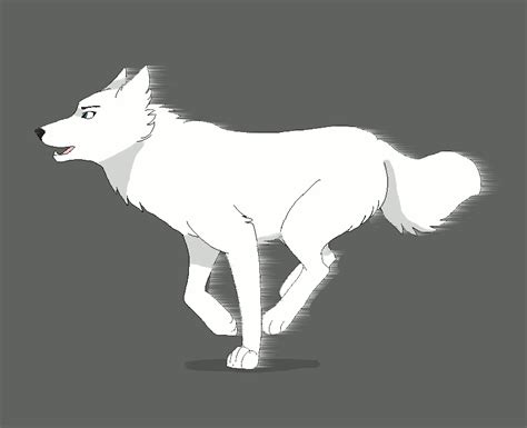 GRAY WOLF IN THE GREEN WOODS,,,, animation site and more!!!!: wolf animations( short)