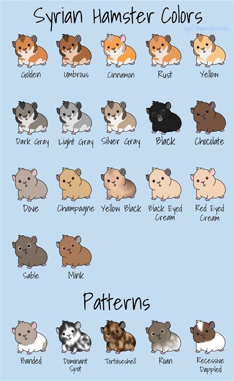 I drew a reference for different colors/patterns! Probably missing some, but I tried to get the ...