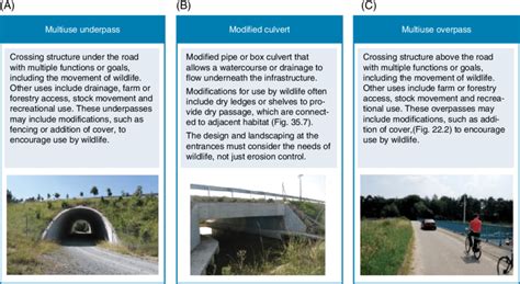 3 The three main types of multi-use crossing structures. Source: (A and... | Download Scientific ...