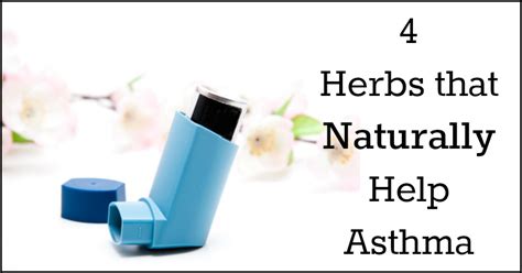 4 Herbs that Naturally Help Asthma - Natural Holistic Life