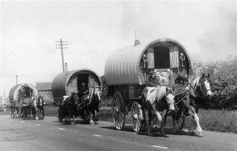 Irish travellers | History | Pinterest