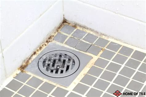 How To Prevent Mold in Shower Grout. 9 tips from professionals – Home ...