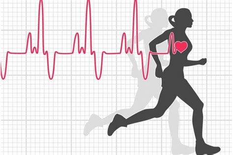 The Importance Of Understanding Your Heart Rate While Exercising - AskTheTrainer.com