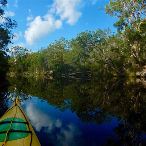 Kayaking Noosa Everglades: an adventure in the immaculate wilderness