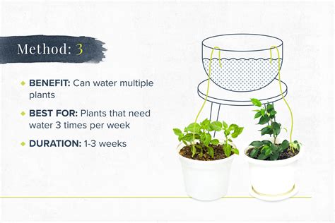 How to Water Plants While Away: 6 DIY Methods - ProFlowers Blog