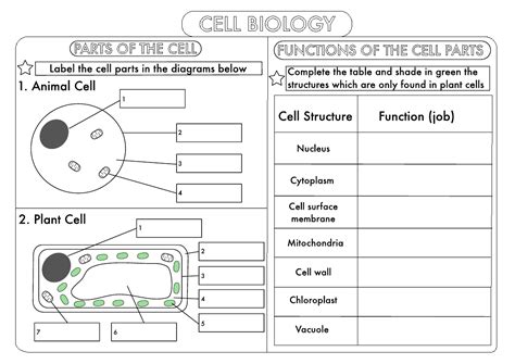 Worksheets .cells