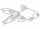 Goldfish Coloring Pages  Free Printable For Kids sketch template
