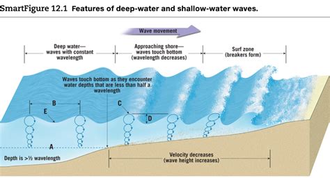 Solved SmartFigure 12.1 Features of deep-water and | Chegg.com