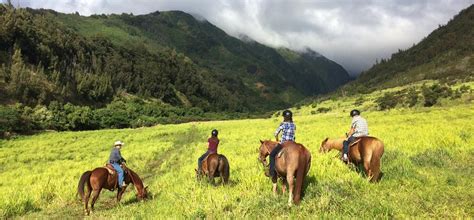 Horseback Riding - A Unique Maui Experience - biographypedia