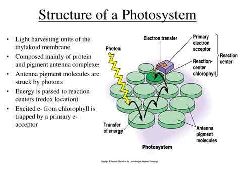 PPT - Chapter 10 PowerPoint Presentation, free download - ID:5780381