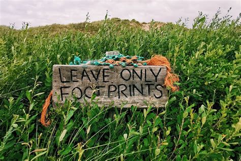 Wild Trails Wales Guide: Hiking the Wales Coast Path — Wild Trails Wales