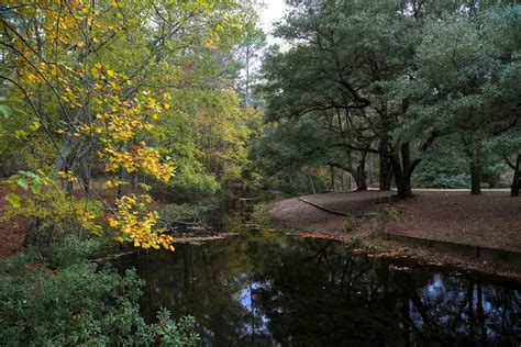 The Best State Parks in South Carolina