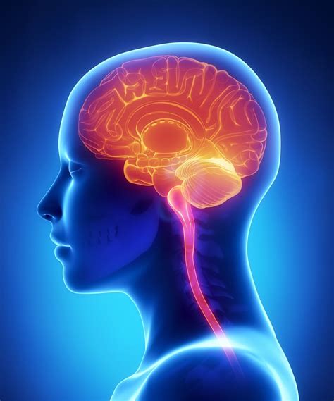 Chiari Malformation - Causes, Symptoms, Prognosis, Diagnosis, Treatment