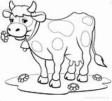 Cow Coloring Pages For Preschoolers  Boringpopcom sketch template