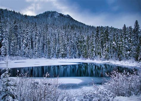 Blue winter pond Photograph by Lynn Hopwood - Fine Art America