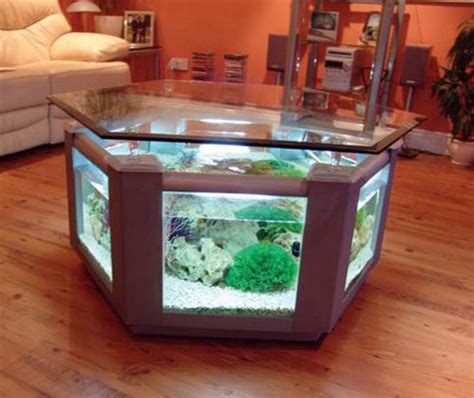 freshwater aquarium ideas for home #KBHomes Fish Tank Table, Fish Tank ...