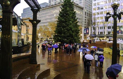 Portland Oregon Christmas Tree lighting, 2014