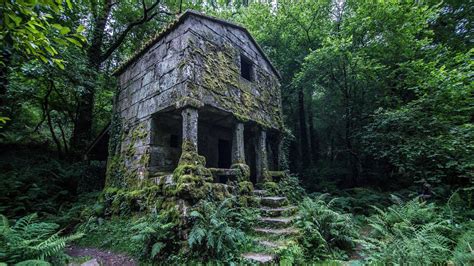 Old abandoned house in forest [1920x1080] : r/AbandonedPorn