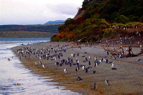 Ushuaia, Tierra Del Fuego, Argentina Cruise Port - Cruiseline.com