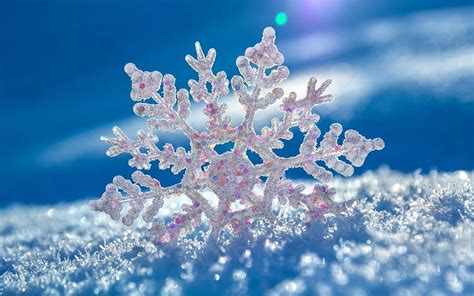 HD wallpaper: snowflake desktop pictures, cold temperature, winter ...