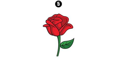 How to Draw Rose Flower - A Step By Step Guide - Cool Drawing Idea